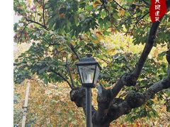 -颐和路民国时期公馆风貌区