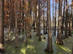 -东湖落雁景区