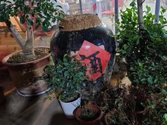 -传统菜农庄(皇姑路店)