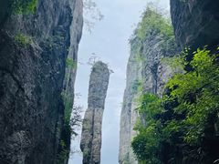 -恩施大峡谷