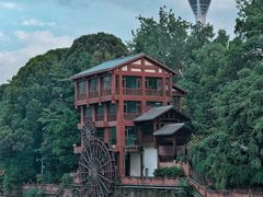 -成都市活水公园