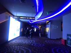 -万达影城(汉街万达广场IMAX店)