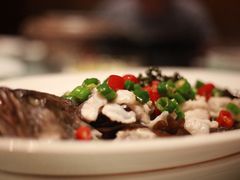 青花椒老虎斑-隆聚·时令海鲜(洪兴店)