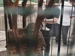 -保定市动物园