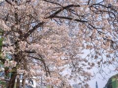 -红星桥(地铁站)