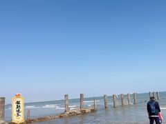-日照海滨国家森林公园
