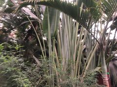 -龙达温泉生态城