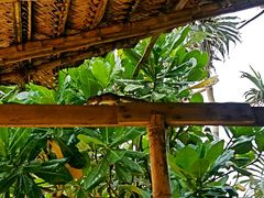 -Green Lobster Waskaduwa Seafood Restaurant