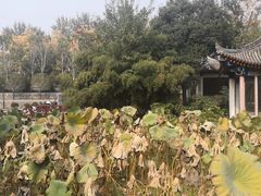 -莲湖公园