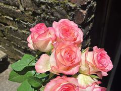 -循礼门鲜花花市(武汉循礼门店)