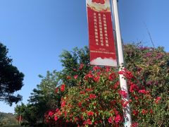 -仙岳公园