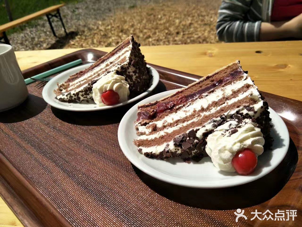 高山、草地、丛林、溪流、湖泊，一次性饱览个够