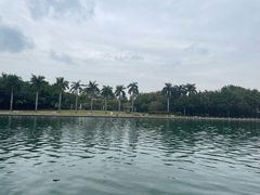 -白鹭洲公园