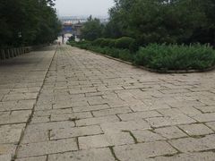 -府君山公园