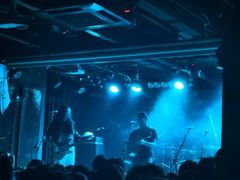 -坚果NUTS