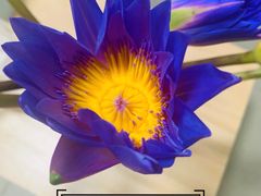 -奈雪的茶(中储能店)