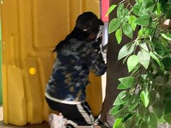 -319集结地真人CS·团建·轰趴馆(城外诚店)