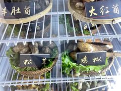-爱膳菌锅锅(阳南店)