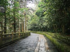 -安溪清水岩