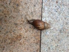 iphone_upload_pic-三亚湾海居铂尔曼度假酒店