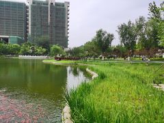 -西海子公园