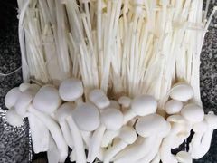 -同仁四季椰子鸡(福田东园总店)