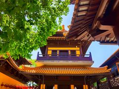 -亭林园-华藏寺