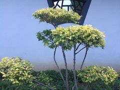 -阿尔丁植物园