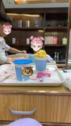 点击看大图 -宾格