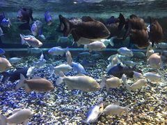 -成都浩海立方海洋公园