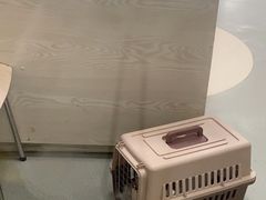 -美美宠物诊疗中心·异宠·骨科(滨江东信分院)