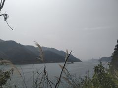 -羚羊峡古栈道森林公园