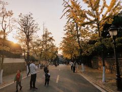 -八大关景区
