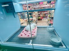 -FAELING PETS美天灵宠物(合生汇店)