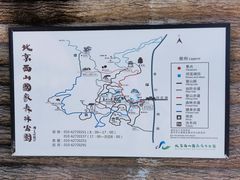 -北京西山国家森林公园