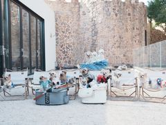 -J Create城市露营咖啡·简餐·宠物(上海动物园店)