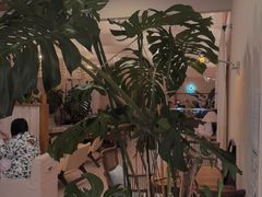 -山与蓝·轻糖鲜果蛋糕(勒泰店)