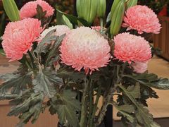 -半秋山西餐厅(销品茂店)