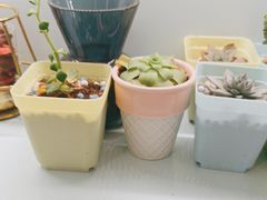 -维乐口腔·埃齐门诊(静安店)