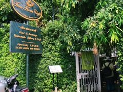 -Fern Forest Cafe