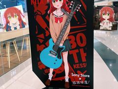 -Sony Store 索尼(来福士店)