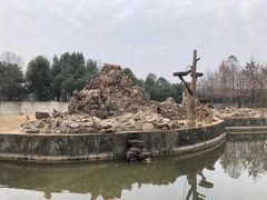 -合肥野生动物园