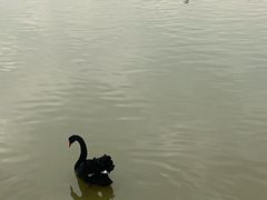 -南昌动物园