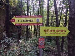 -北京密云天门山风景区