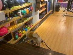 -YCHL Studios健身工作室(市二宫店)
