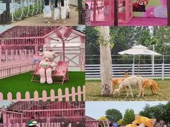 -渔岛海洋度假区