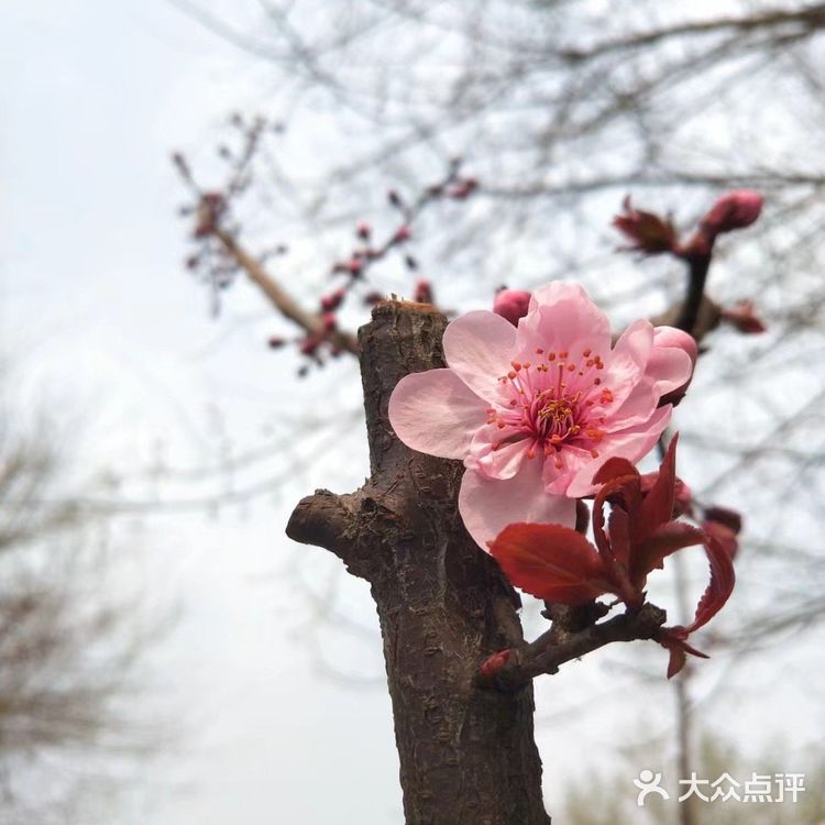 春暖花开奔你而来  我从春天走来，你在秋天说要分开