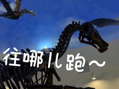-嘉荫恐龙国家地质公园