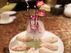 -金燕岛潮州酒楼