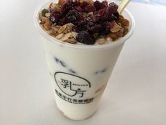 -REALFUN乳方希腊酸奶工厂(文鼎店)